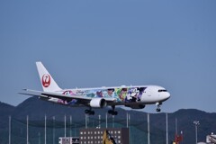JAL 798