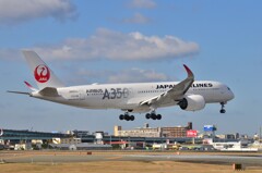 JAL 666