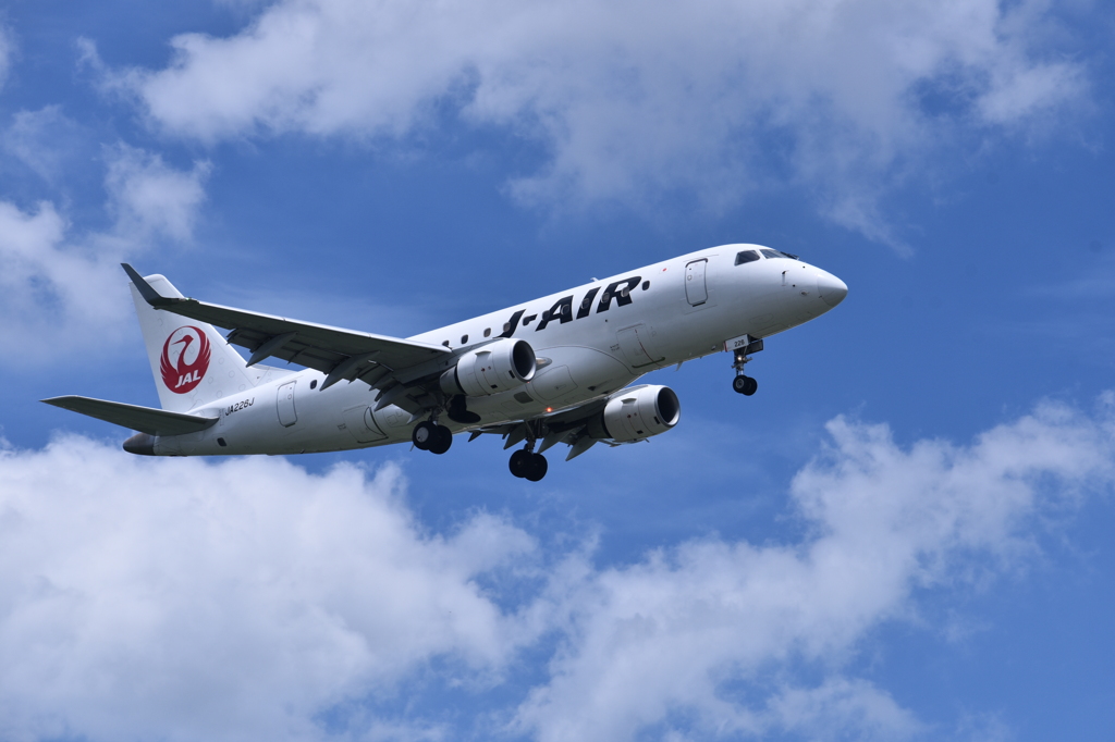 JAL 976