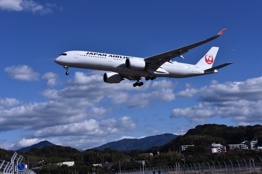 JAL 790