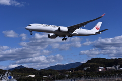 JAL 790