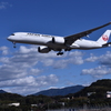 JAL 790
