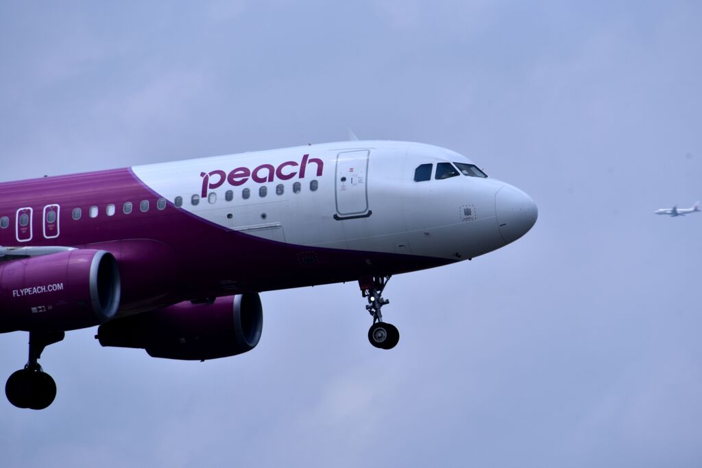 PEA 189