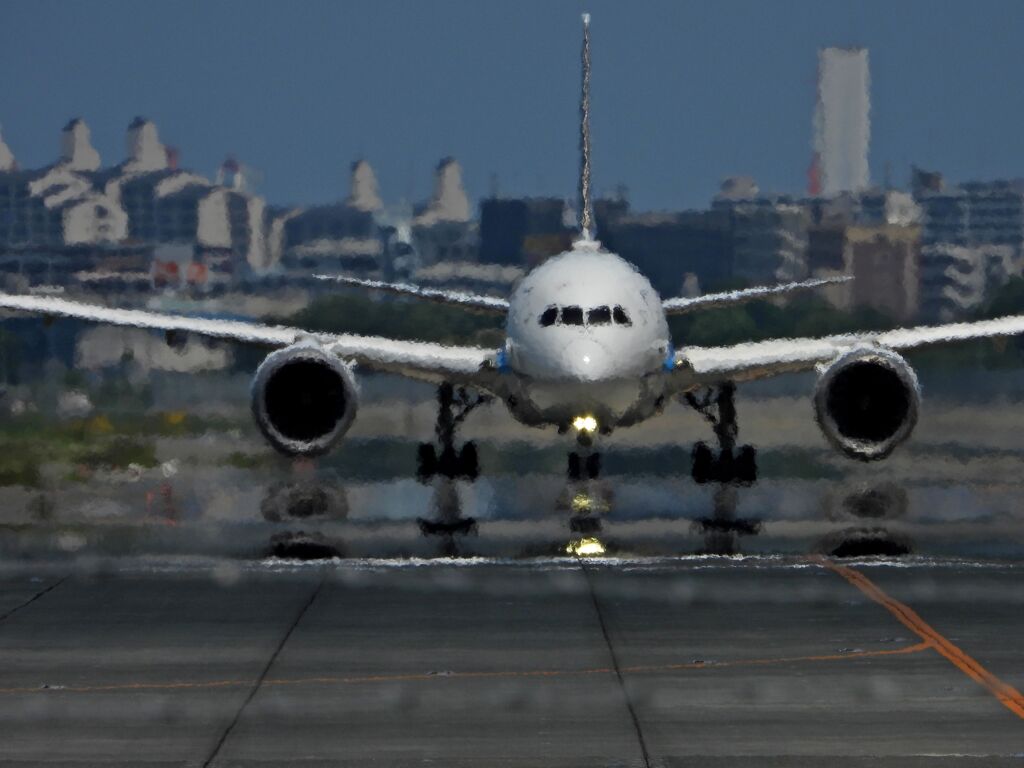 ANA 1293