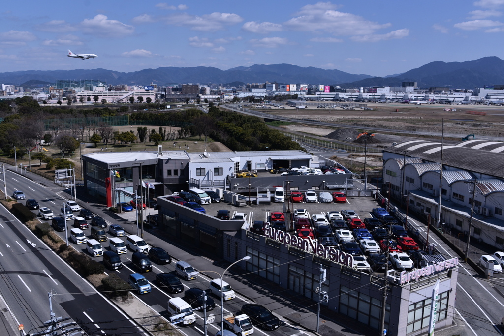 JAL 1164