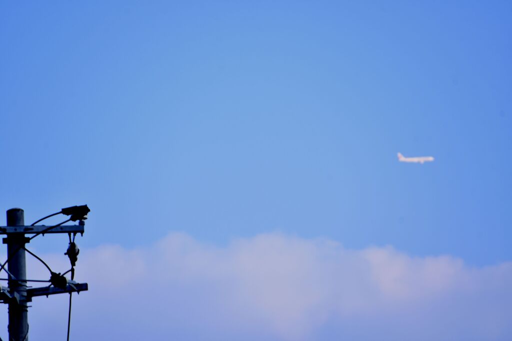 「人生模様」その四　「悲しき習性」２（＾＾；