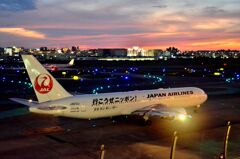 JAL 293