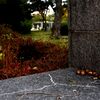 「人生模様」その二十一「人生の忘れ物」