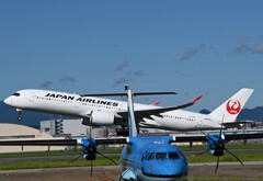 JAL 1330  「雨ばっか！」