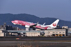 JAL 860