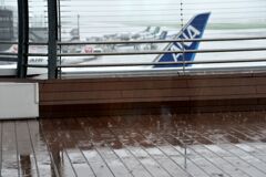 梅雨