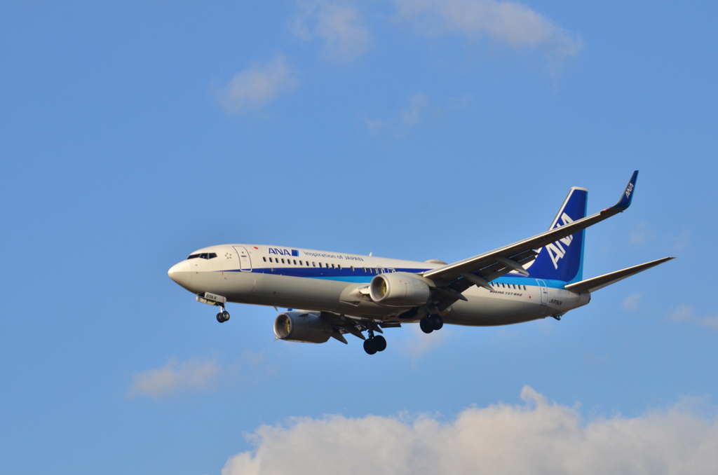ANA 372