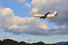 JAL 384