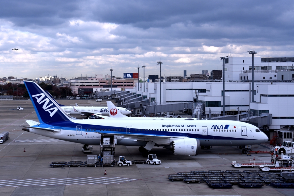 ANA 979