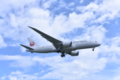 JAL 638
