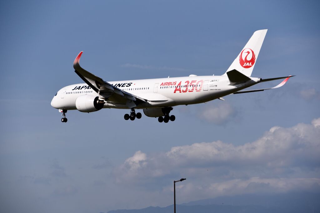 JAL 1140