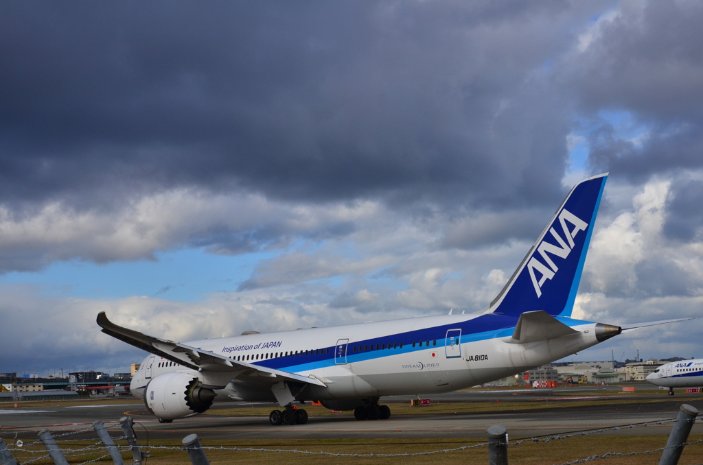 ANA 371