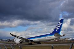 ANA 371