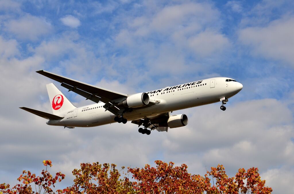 JAL 431