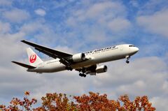 JAL 431