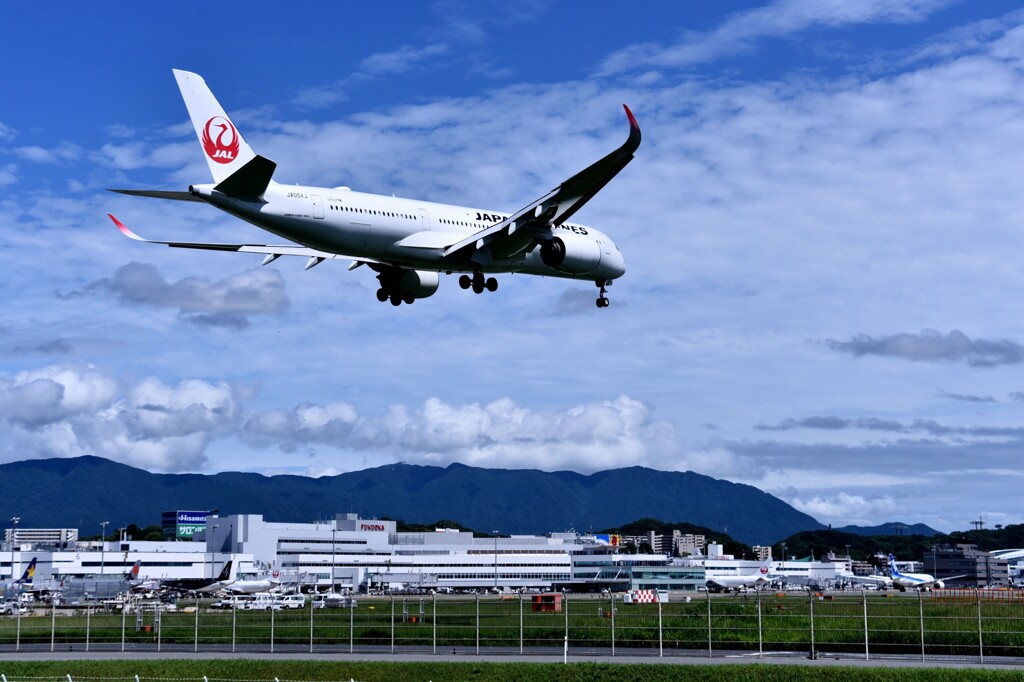 JAL 973