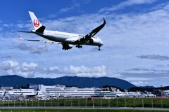 JAL 973