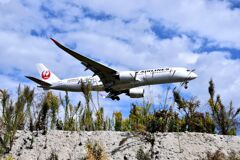 JAL 1073