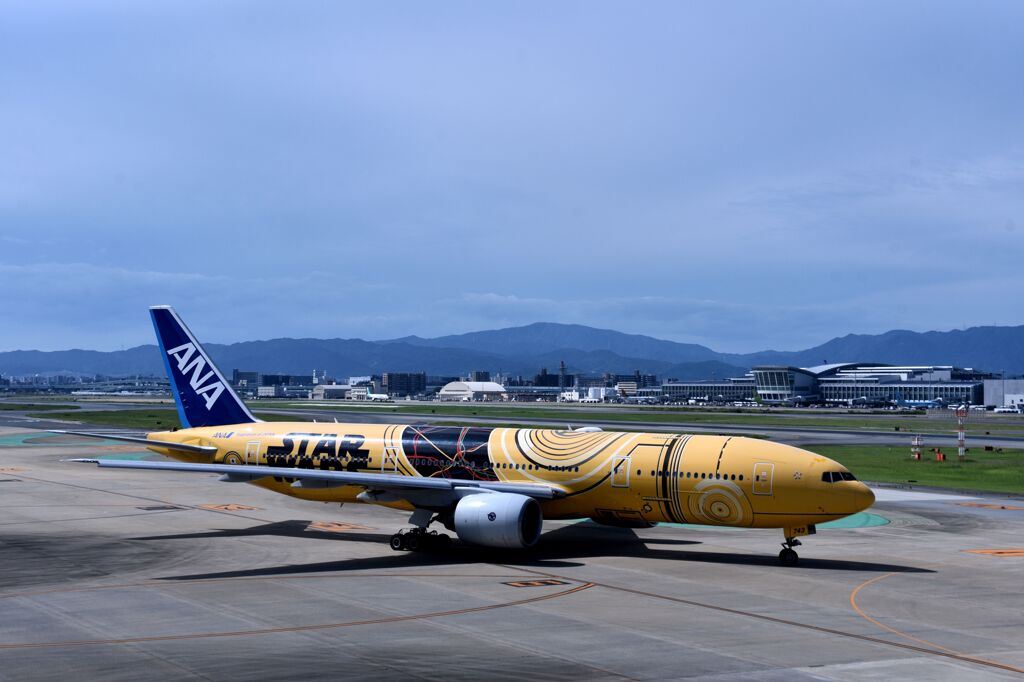 ANA 917
