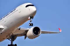JAL 417