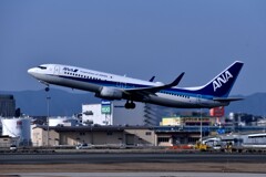 ANA 778