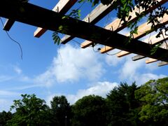 一歩・二歩・散歩（2025夏）「夏空」
