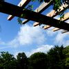 一歩・二歩・散歩（2025夏）「夏空」