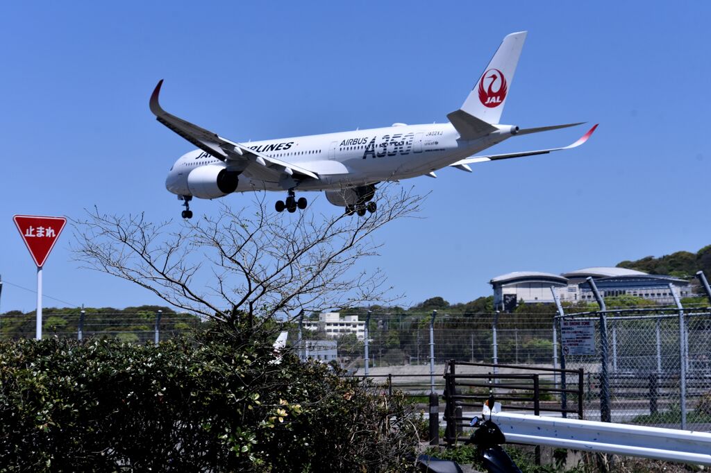 JAL 889