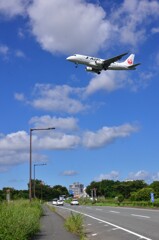 JAL 252