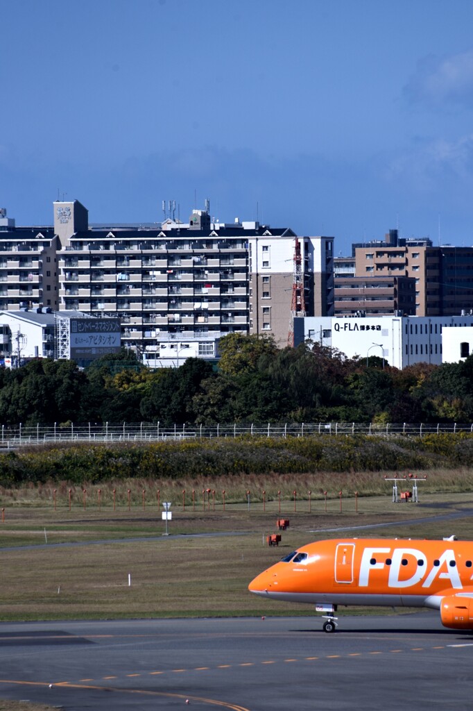 FDA 296      「カタール・ワールドカップ２０２２」