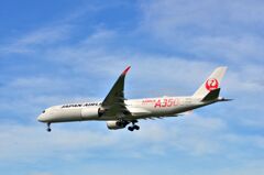 JAL 489