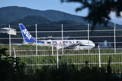 ANA 589
