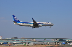 ANA 494