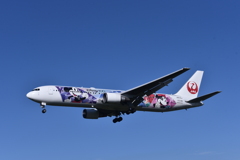 JAL 1147