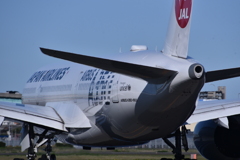 JAL 897