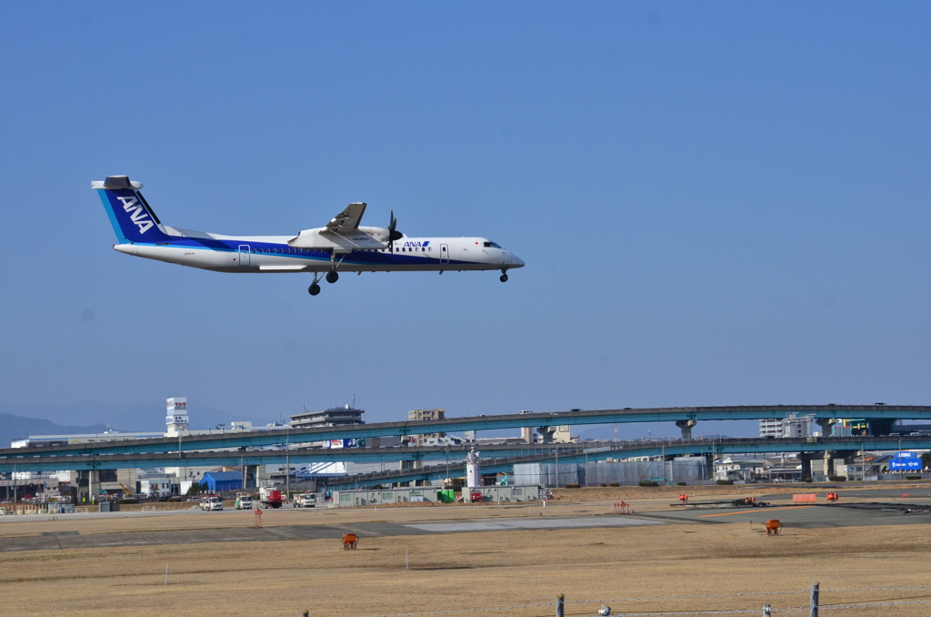 ANA 468
