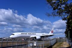 JAL 1103