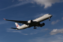JAL 1223