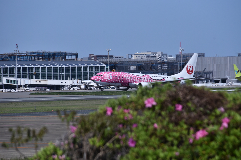 JAL 887