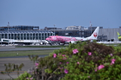 JAL 887