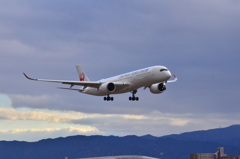 JAL 389