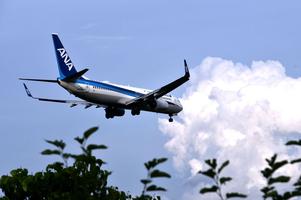 ANA 567