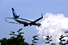 ANA 567