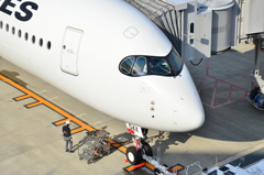 JAL 486