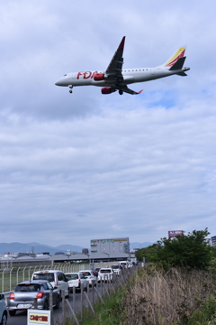 FDA 209
